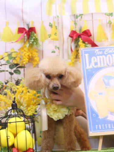 20240424リールちゃん